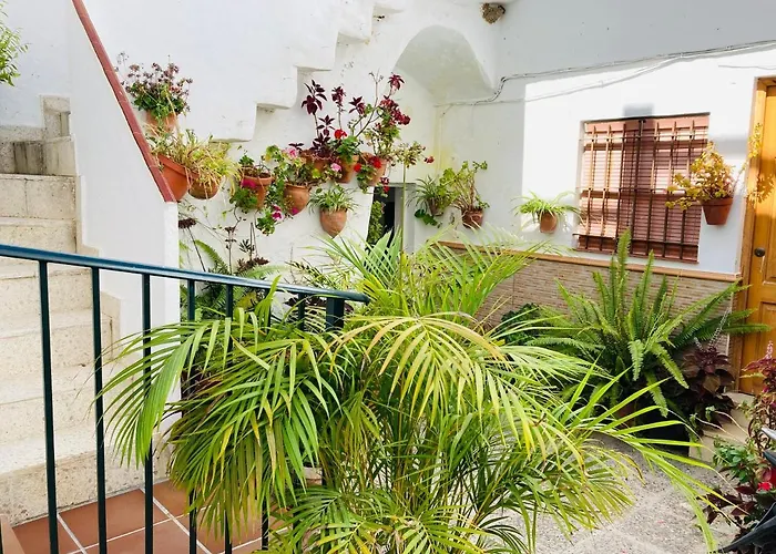 Conil Centro 公寓